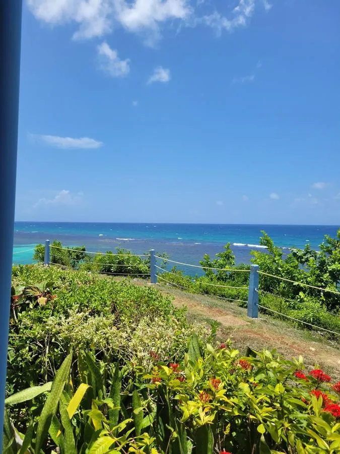 Munzels Oceanview Retreat Apartment Ocho Rios